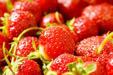 Similar image 231772