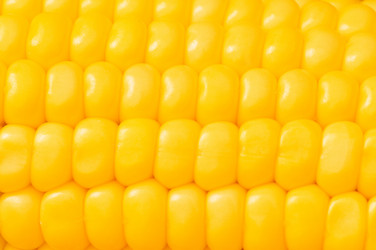 Similar image 231773