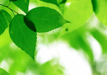 Similar image 231798