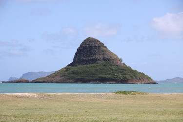 Similar image 231826