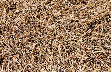 Similar image 231870