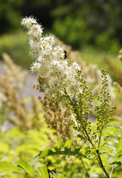 Similar image 231883