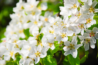 Similar image 231928