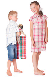 Similar image 231965