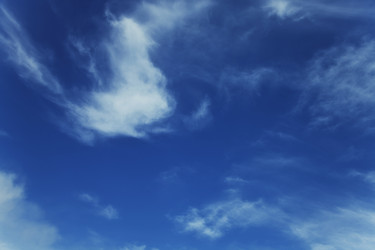 Similar image 231988