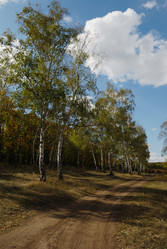 Similar image 231990