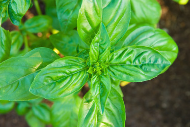 Similar image 232092