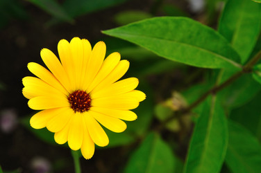 Similar image 232122