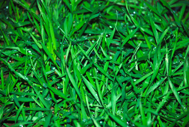 Similar image 232125