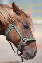 Similar image 232158