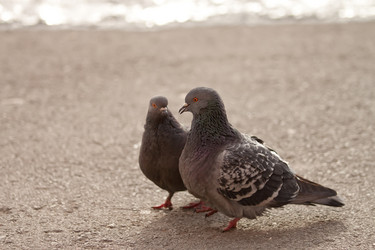 Similar image 232160