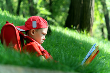 Similar image 232178