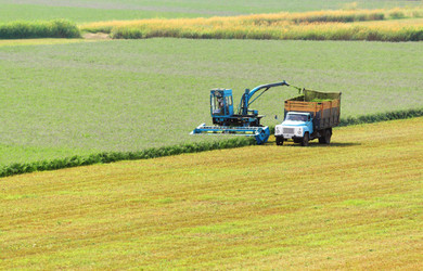 Similar image 232198