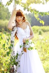 Similar image 232204