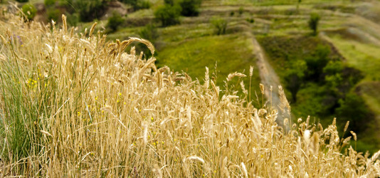 Similar image 232231