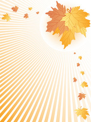 Similar image 232240