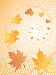 Similar image 232242