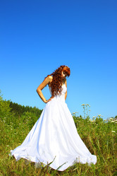 Similar image 232282