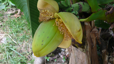 Similar image 232296