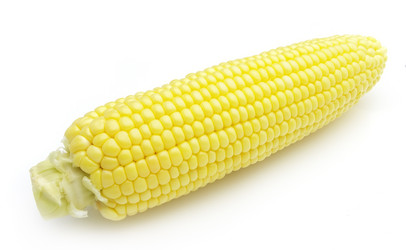 Similar image 232298