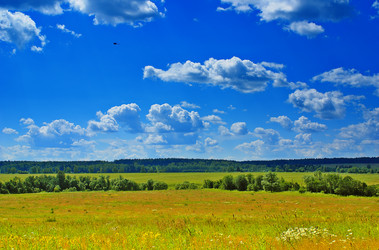 Similar image 232312