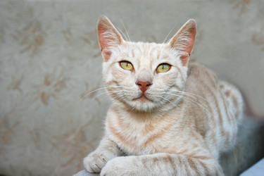 Similar image 232345