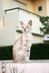 Similar image 232346