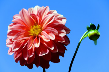 Similar image 232352