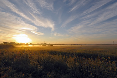 Similar image 232399