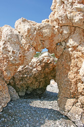 Similar image 232419