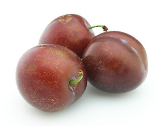 Similar image 232442