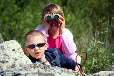 Similar image 232459