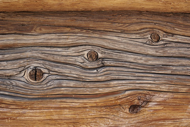 Similar image 232482