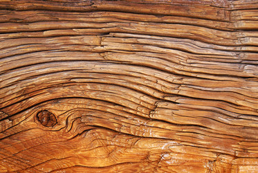 Similar image 232483