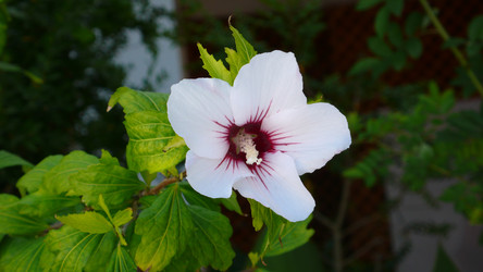 Similar image 232508