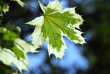 Similar image 232532