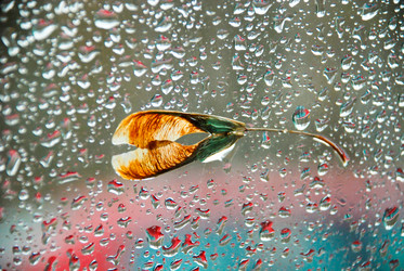 Similar image 232539