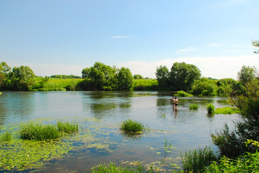 Similar image 232540