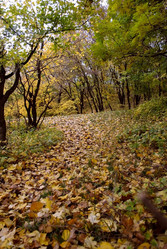 Similar image 232560