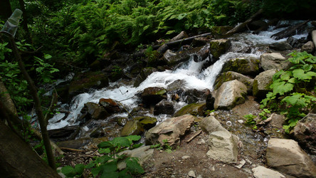 Similar image 232601