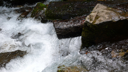 Similar image 232602