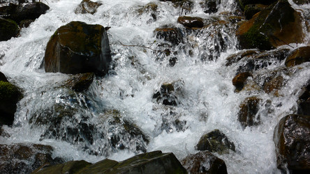 Similar image 232603