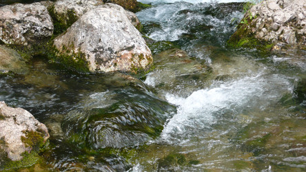 Similar image 232604