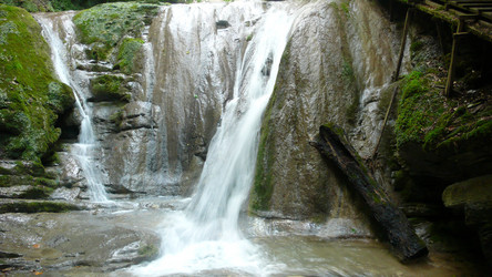 Similar image 232606