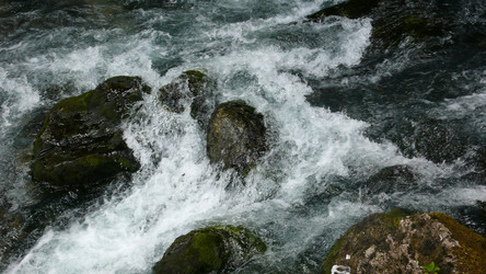 Similar image 232608