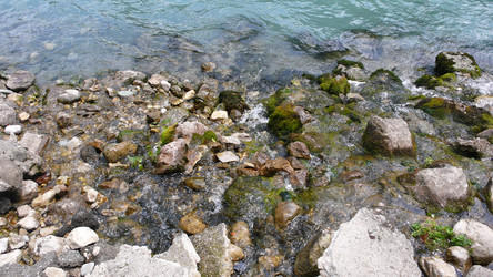 Similar image 232611