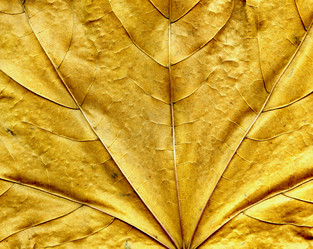 Similar image 232622