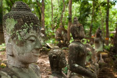 Similar image 232625