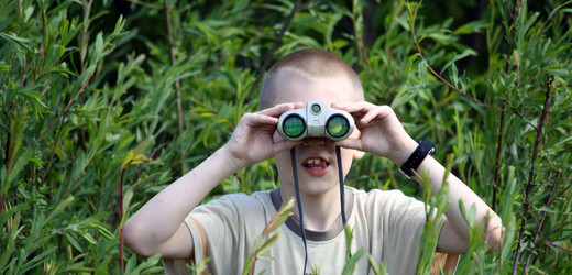 Similar image 232634