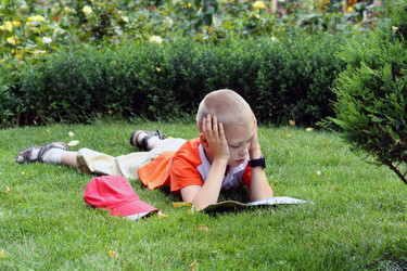 Similar image 232636